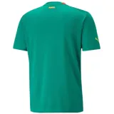 2022/23 Senegal Away Green Fans Soccer Jersey