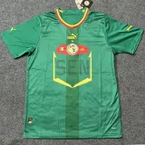 2022/23 Senegal Away Green Fans Soccer Jersey