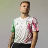 2023/24 Italy Three-Colour Player Version Training Jersey