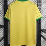 2023/24 Nantes 80th Anniversary Edition Yellow Fans Soccer Jersey