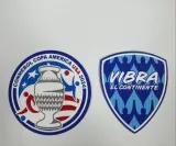 2024/25 Argentina Home Player Version Soccer Jersey (Have FlFA World Champion 2022 有胸前章)
