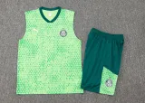 2024/25 Palmeiras Green Vest Training Jersey(A Set)