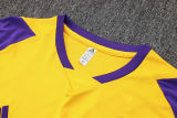 2024/25 RM Yellow Training Tracksuit （ 7分裤）