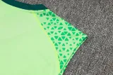2024/25 Palmeiras Green Vest Training Jersey(A Set)