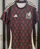 CHICHARITO #14 Mexico 1:1 Quality Fans Soccer Jersey 2024/25 ★★