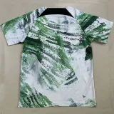 2023/24 Nigeria Training Soccer Jersey