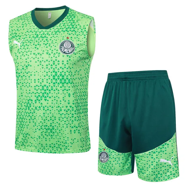 2024/25 Palmeiras Green Vest Training Jersey(A Set)