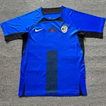 2024/25 Slovenia Home Blue Fans Soccer Jersey 斯洛文尼亚