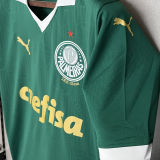 2024/25 Palmeiras 1:1 Quality Home Fans Jersey (All Sponsor 全广告)