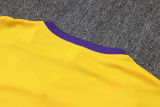 2024/25 RM Yellow Training Tracksuit （ 7分裤）