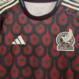 CHICHARITO #14 Mexico 1:1 Quality Fans Soccer Jersey 2024/25 ★★