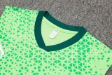 2024/25 Palmeiras Green Vest Training Jersey(A Set)