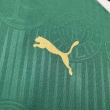 2024/25 Palmeiras 1:1 Quality Home Fans Jersey (All Sponsor 全广告)