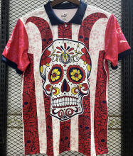 2023/24 Chivas Día de Muerto Fans Soccer Jersey