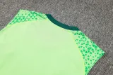 2024/25 Palmeiras Green Vest Training Jersey(A Set)