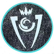 CONCACAF Champions Cup Patch 美冠杯臂章 (You can buy it Or tell me to print it on the Jersey )