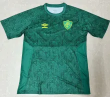 2024 Fluminense Green Training Jersey
