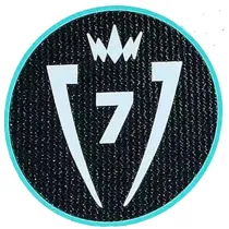CONCACAF Champions Cup 7 Patch 7字杯 美冠杯臂章 (You can buy it Or tell me to print it on the Jersey )