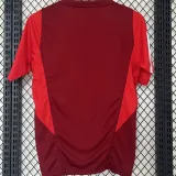 2024/25 Internacional Red Training Jersey 枣红色