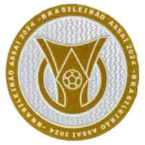 2024 植绒 BRASILEIRAO ASSAI Flocking Patch 2024 巴甲联赛臂章 (You can buy it Or tell me to print it on the Jersey )