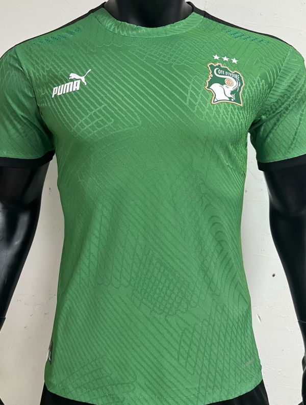 2024 Ivory Coast Home Green Player Version Jersey （3 stars 三星）