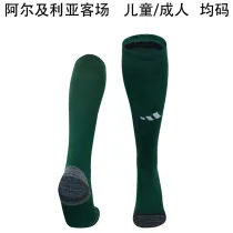 2025 Algeria Away Green Sock 阿尔及利亚