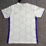 2025 RM x France Special Edition Fans Soccer Jersey 黄马 x 法国
