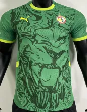 2025 Senegal Away Green Player Version Jersey
