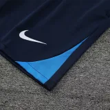 2025 CFC Sapphire Blue Vest Training Jersey(A Set)