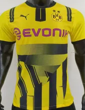 2024/25 BVB CUP Version Yellow Player Version Soccer Jersey