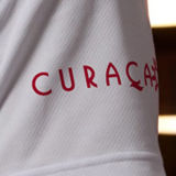 2024/25 AA Home Fans Soccer Jersey 白色纽扣