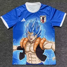2024/25 Japan Special Edition Fans Jersey
