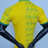 2024/25 JS Kabylie Home Yellow Player Version Soccer Jersey 卡比利亚