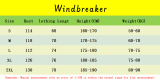 2025 JUV Windbreaker (刺绣)