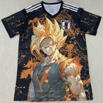 2024/25 Japan Special Edition Fans Jersey
