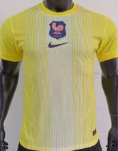 2025 France Yellow GK Player Version Soccer Jersey