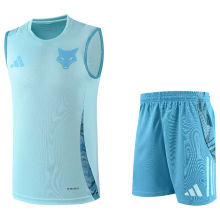 2025/26 Cruzeiro Light Blue Vest Training Jersey(A Set)