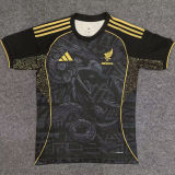 2025 Mexico Black Special Edition Fans Soccer Jersey