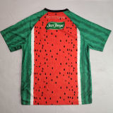 2025 Palestino Special Edition Fans Soccer Jersey