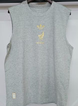 2025 Mexico Grey México de Oro Pure Cotton Vest Jersey