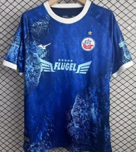 2025 Hansa Rostock Special Edition Fans Soccer Jersey