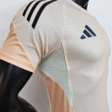 2025/26 Algeria Special Edition Player Version Jersey 卡其色