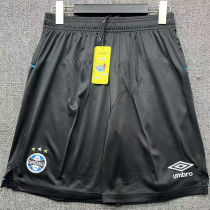 2025/26 Gremio Shorts pants