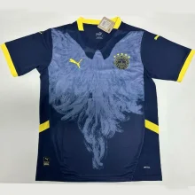 2025 Fenerbahce Special Edition Fans Soccer Jersey 费内巴切