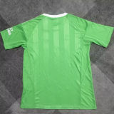 2025/26 ARS Green GK Fans Soccer Jersey