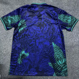 2025/26 Brazil Special Edition Fans Soccer Jersey