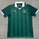 2025/26 Plymouth Argyle Home Green Fans Soccer Jersey