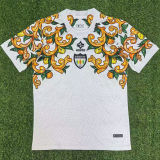 2025/26 Sorrento FC Away Fans Soccer Jersey   索伦托