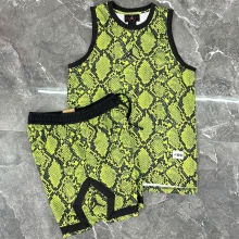 2025/26 Jordan Dark Green Vest Training Jersey(A Set)