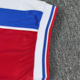 SARR #7 Crystal Palace Home Fans Soccer Jersey 2025/26 (CUP Font 杯赛字体 ) ★★